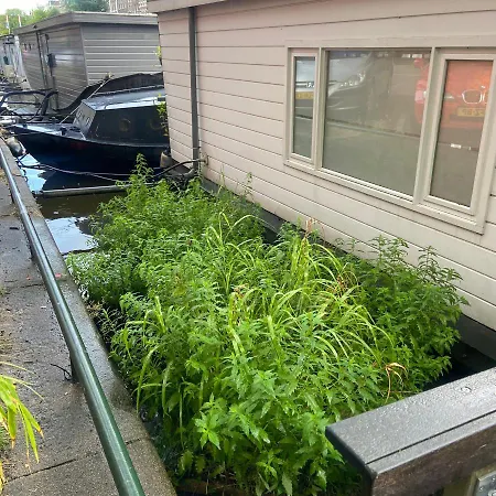 Гостевой дом Houseboat Bonnie